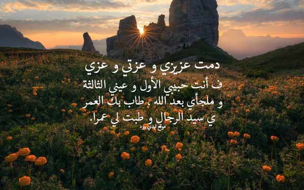 مدح حبيبي