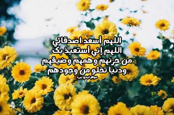السعادة للاصدقاء