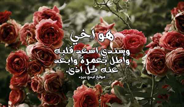 لاخي بالسعادة