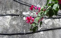 اعتذار لشخص 1