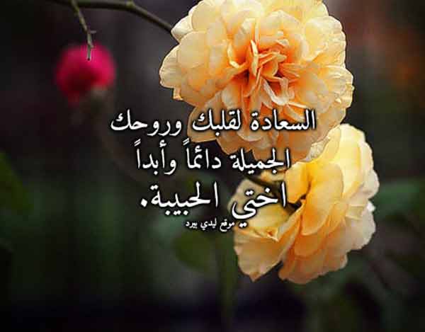 الى اختي الحبيبة