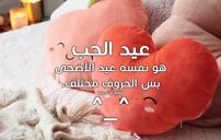 عبارات مضحكة عن عيد الحب 12 عبارات مضحكة عن عيد الحب