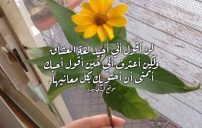 كتابات اعتراف بالحب 18 كتابات اعتراف بالحب