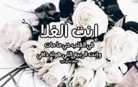 كلام انت الغلا 14 كلام انت الغلا