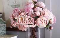 كلام انت جزء مني 11 كلام انت جزء مني