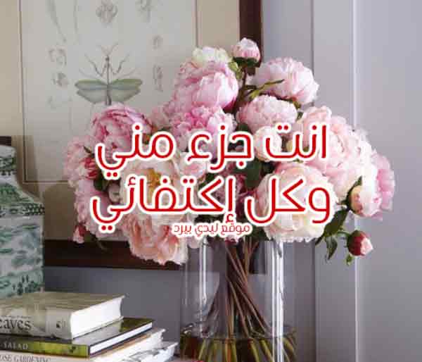 كلام انت جزء مني