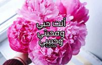 كلام انت حبي 12 كلام انت حبي