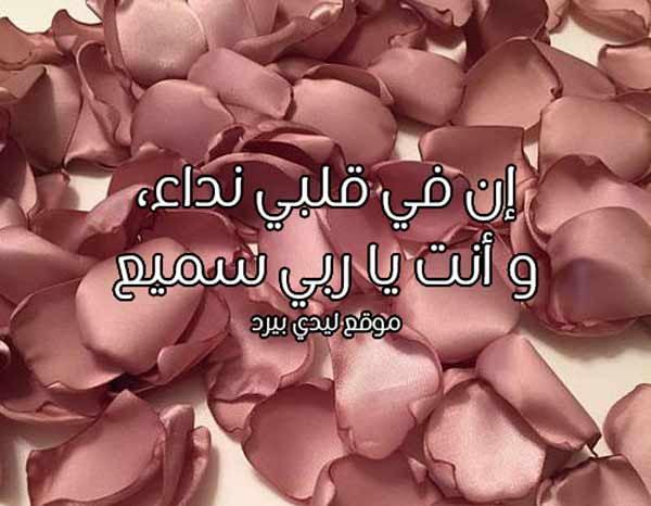 كلام انت في قلبي 1 كلام انت في قلبي