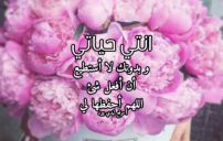 كلام انتي حياتي 8 كلام انتي حياتي