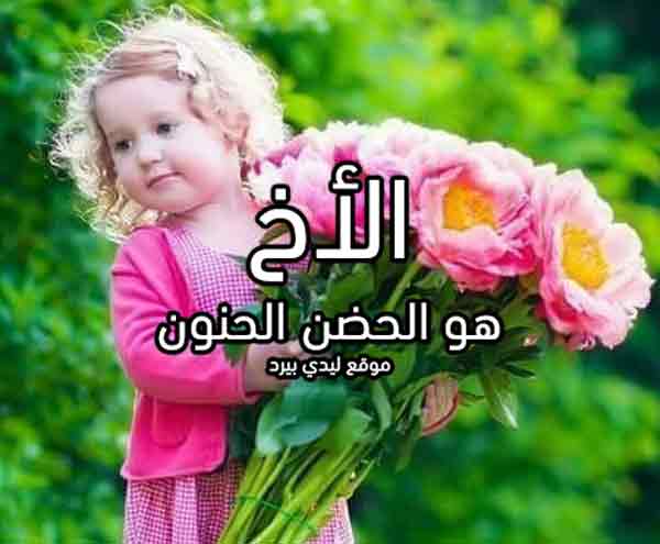 كلمات عن الاخ اقراها