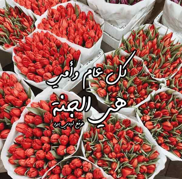 تهنئة عيد الام مكتوب عليها