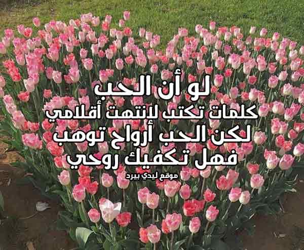 حب الى حبيبي