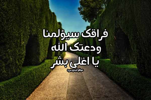 دعاء توديع المسافر 1 دعاء توديع المسافر