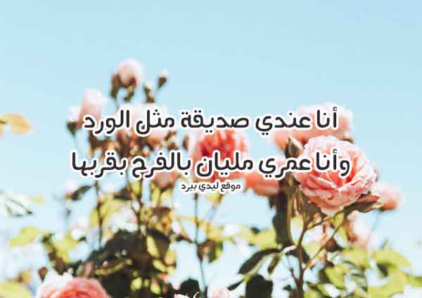 رسائل لصديقة عمري 1 رسائل لصديقة عمري