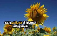 مكتوبة لصديقتي