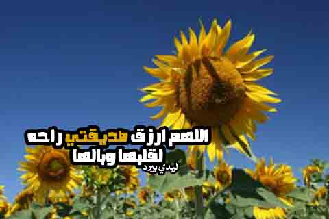 مكتوبة لصديقتي