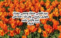 تهنئة عيد الاضحى لجدتي