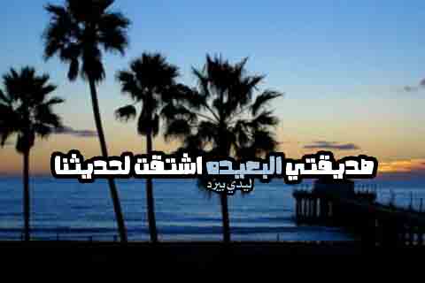لصديقتي البعيدة