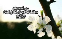 السعادة لبنتي