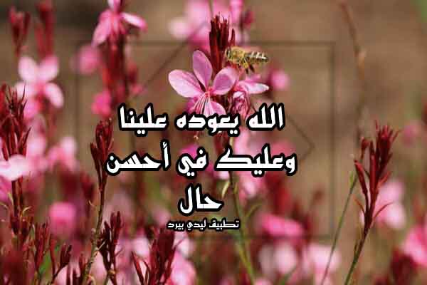 رسائل رد على تهاني العيد