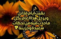 كلام حزين عن السنة الجديدة
