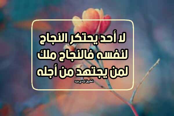 عن النجاح