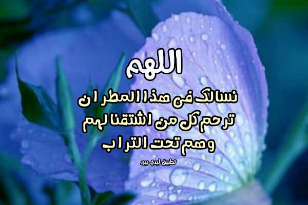 صورة مقال دعاء للميت وقت المطر