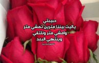 رسالة الى حبيبتي البعيدة