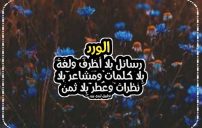 اجمل كلام عن الورد 13 اجمل كلام عن الورد