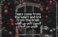 انجليزية حزينة