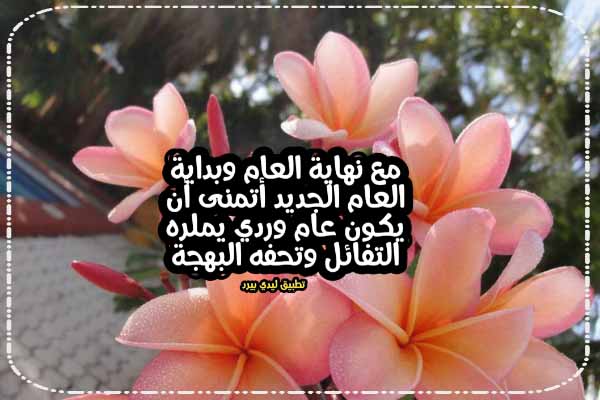 عبارات تهنئة بالعام الجديد