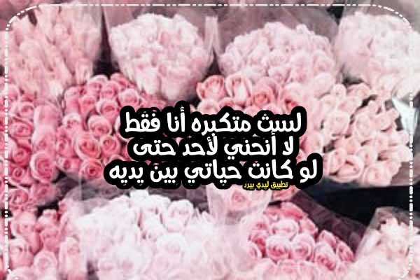 كلام انا لست متكبرة 1 كلام انا لست متكبرة