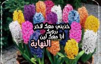 كلام انا معك 11 كلام انا معك