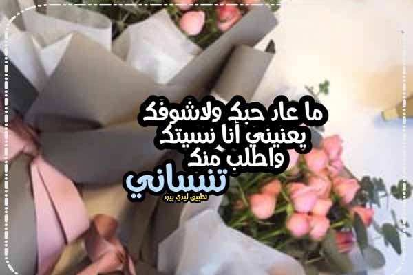 كلام انا نسيتك 1 كلام انا نسيتك