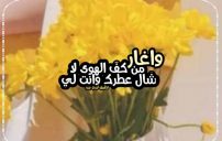 كلام انت لي وحدي 2 كلام انت لي وحدي