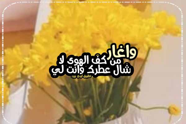 كلام انت لي وحدي 1 كلام انت لي وحدي