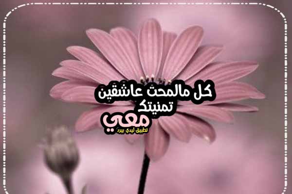 كلام يحرق القلب 1 كلام يحرق القلب