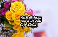 احلى كلام حزين وخيانة 17 احلى كلام حزين وخيانة