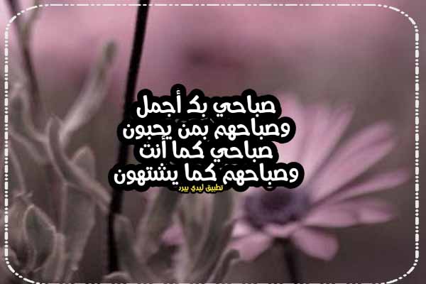 احلى كلام في الصباح 1 احلى كلام في الصباح