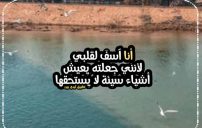 كلام انا اسف 14 كلام انا اسف