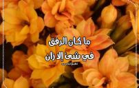 كلام عن الرفق 1 كلام عن الرفق