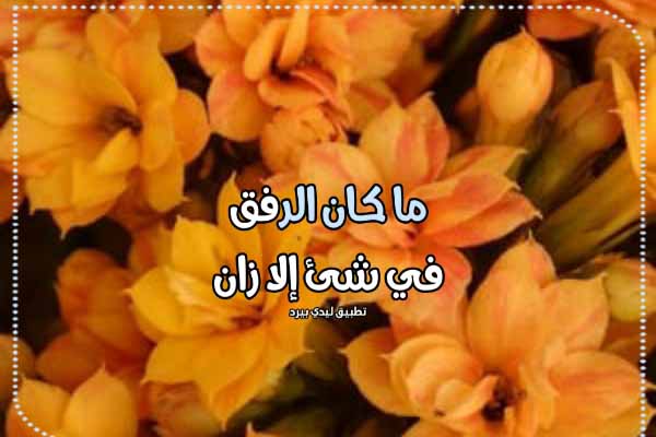 كلام عن الرفق 1 كلام عن الرفق