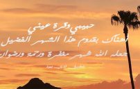 تهنئة حبيبي بشهر رمضان 11 تهنئة حبيبي بشهر رمضان