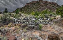ابيات شعر مدح وفخر