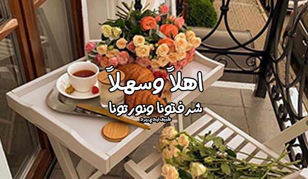 كلام جميل عن الزيارة 1 كلام جميل عن الزيارة