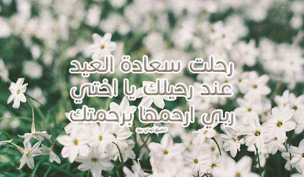 لاختي الميتة يوم العيد