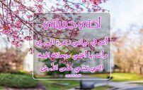 حلو لاختي
