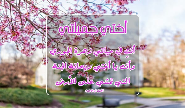حلو لاختي