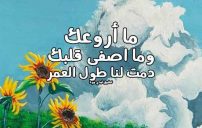 كلمات لوصف شخص رائع