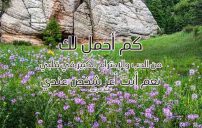 رسالة لشخص عزيز